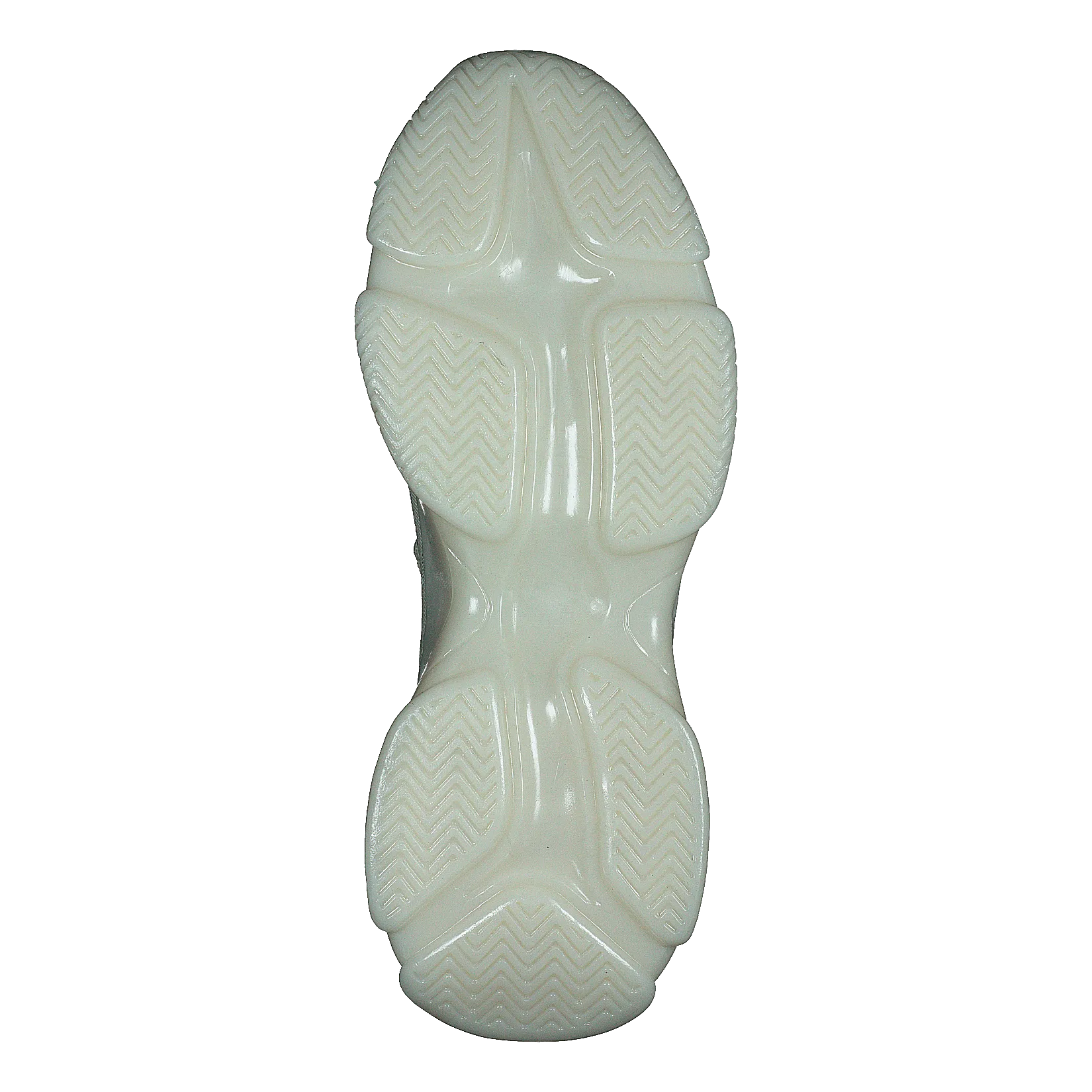 Maxilla-r Bone